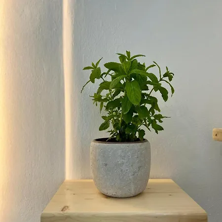 Blue Wave Suites-apartment Agia Anna Naxos