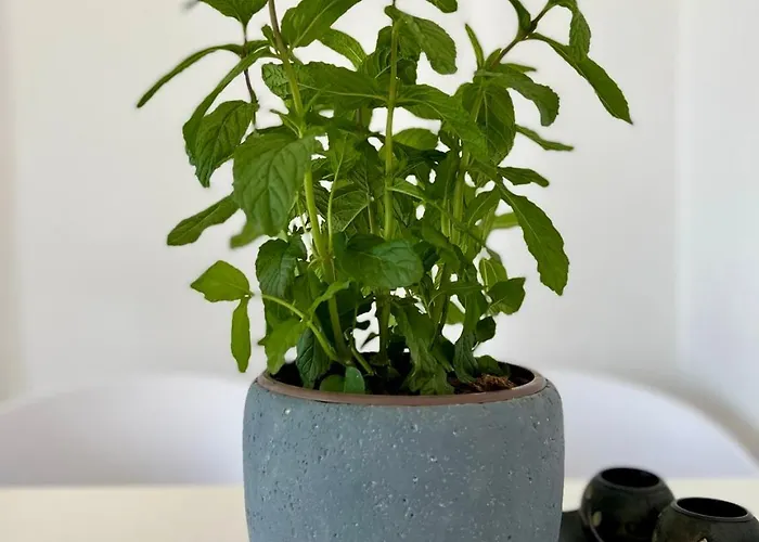 Apartamento Blue Wave Suites-apartment Agia Anna Naxos