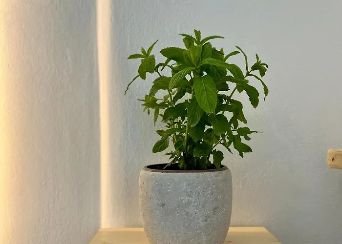 Blue Wave Suites-apartment Agia Anna Naxos